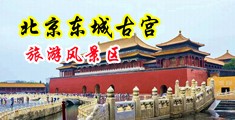 噗嗤噗嗤撞击花蕊中国北京-东城古宫旅游风景区